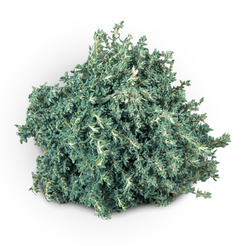 image-product-detail